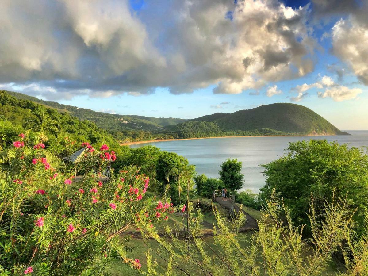 Villa Deshaies Exteriér fotografie
