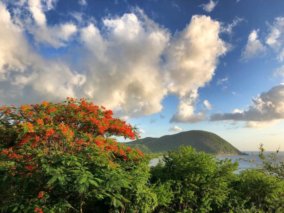 Villa Deshaies Exteriér fotografie